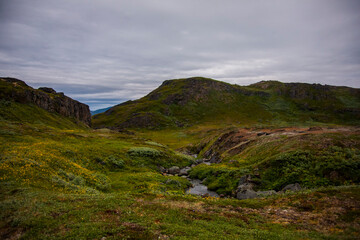 Fototapeta na wymiar Summer landscape in the fiords of Narsaq, South West Greenland