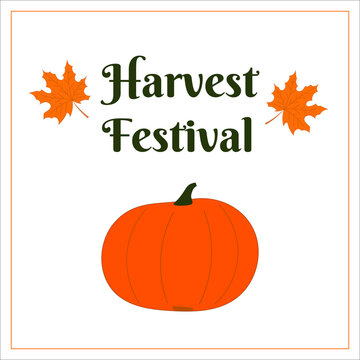 Vector greeting card harvest festival with orange pumpkin, muple leaves and greeting sign.