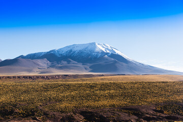 Atacama Desert - CHile