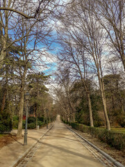 Fototapeta premium Go to the park
