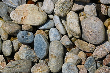 fondo naturaleza con piedras de rio 