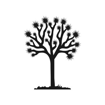 Joshua tree vector isolated
