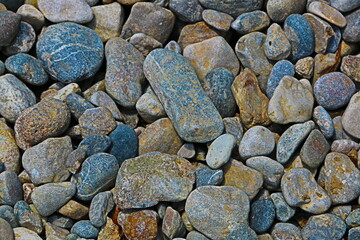 fondo naturaleza con piedras de rio 