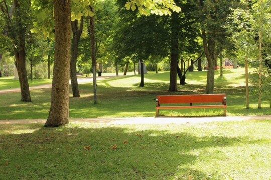 Relaxing shady trees, empty wooden bench in public park. photo