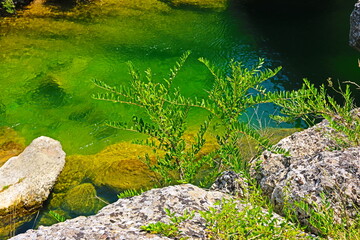fondo naturaleza con piedras en un río de montaña