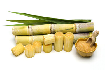 sugar cane and brown sugar on white isolate background