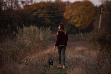 Fototapeta premium Modern Caucasian girl walks on a leash a Schnauzer dog in an autumn field at sunset. Dressed in dark jeans, burgundy cardigan. Taking care of pets. Walking outside the city, traveling with animals.