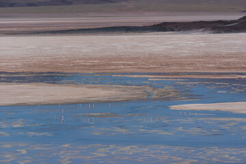 Atacama Desert - Chile