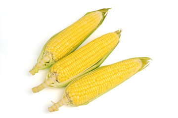 Fresh corn on white isolate background.