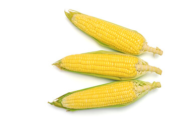 Fresh corn on white isolate background with clipping path.