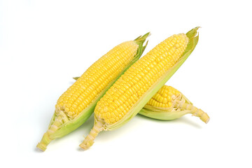 Fresh corn on white isolate background with clipping path.