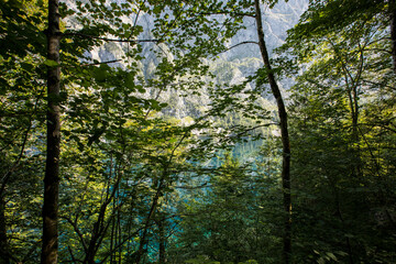 Sunrise in Obersee lake, Bavaria, South Germany. Europe