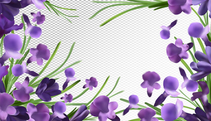 Lavender background. Beautiful lavender with green leaf on transparent background. Violet flower lavender in motion. Flying flower. 3d vector illustration.