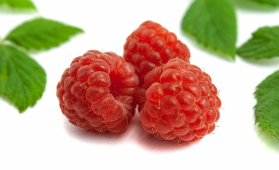 Three ripe raspberries isolated on a white background close-up. Beautiful red fresh raspberries with blurred leaves along the contour on the table. Macro shooting. Healthy and wholesome food concept