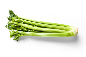 Celery branch bunch isolated on white