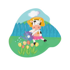Merry cow watering tulips with can. Springtime outdoor scene. vector illustration.