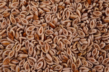Psyllium Plantago Ovata (Ispaghula) Seed Background. Dietary Fiber Food Supplement.