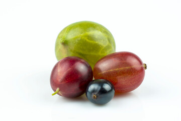 Berries of green and pink gooseberries, black currants isolated on white background.