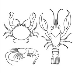 Drawing Vintage Animal Set fish crab lobster shell lemon Seafood illustration vector