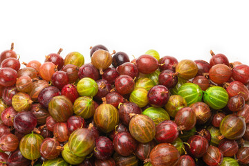 Gooseberry isolated on white background. Top view.