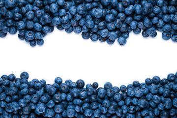 Fresh blueberry and mint isolated on white background.