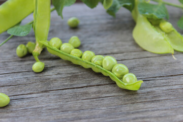Young, green peas on a twig and on a Board close-up