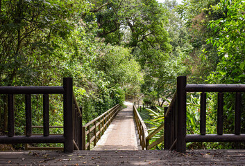 Fototapeta premium wooden bridge in the park