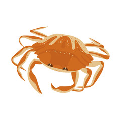 Crab vector cartoon illustration isolated on white background. Colorful ocean and sea creature.