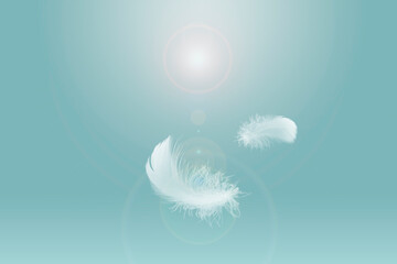 Light fluffy a white feather floating in the sky. Abstract freedom concept background.