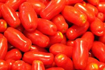 Group of organic fresh tamatoes, red dressing decorated vegetables, food stylist for street food fresh market restaurant, menu advertising backgrounds