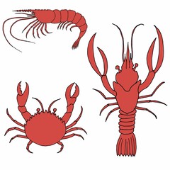 Drawing Vintage Animal Set red crab lobster shrimp Seafood illustration vector