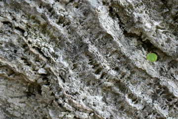 stone wall background