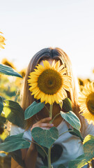 Young beautiful woman smiling and having fun in a sunflower field on a beautiful summer day. - obrazy, fototapety, plakaty