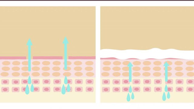 Skin protection from light and uv with before and after graphic animation. Lotions or creams drip onto the skin to increase moisture.