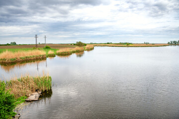 Fototapeta na wymiar Fishing pond on a bright summer day