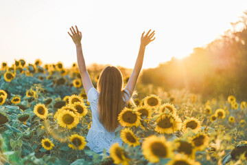 Young beautiful woman smiling and having fun in a sunflower field on a beautiful summer day with...