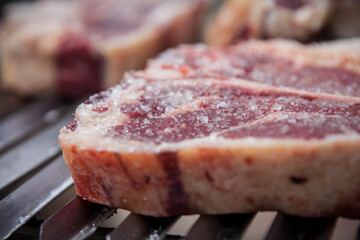 grilled meat on the grill