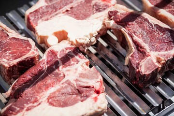 raw meat on the grill