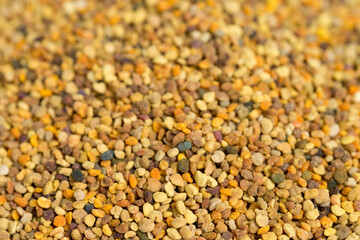 bee pollen grains closeup selective focus