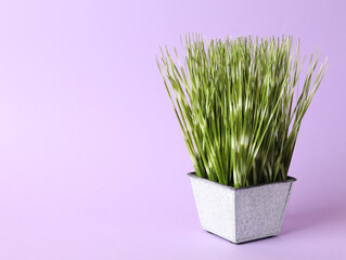 Beautiful artificial plant in flower pot on violet background, space for text