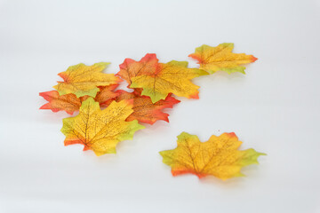 maple leaf and free space for text with white background.