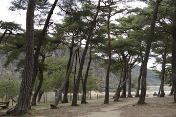 Beautiful scenery of the historic Old Town Andong in South Korea