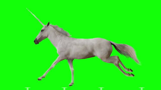 Unicorn runs gallop. Isolated and cyclic animation. Green Screen.