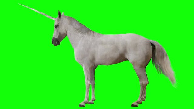 Unicorn standing. Isolated and cyclic animation. Green Screen