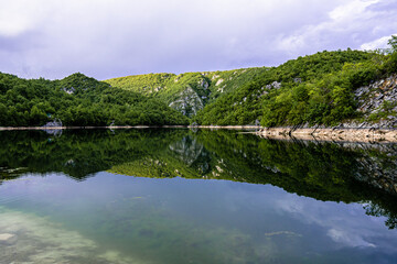 Fototapeta premium Trees on mountain by the water