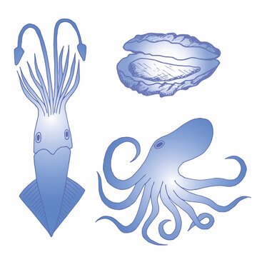 Hand drawn sketch set of seafood oyster, octopus and squit. Vector illustration