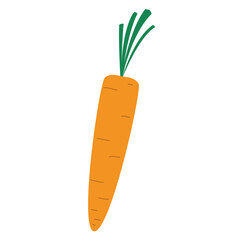 Carrot icon. Vegetable icon. Hralthy food - Vector