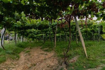 Vistas durante el paseo entre Zarautz y Getaria