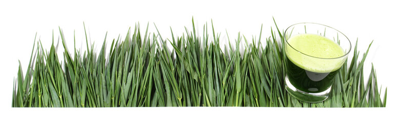 Wheatgrass with Wheatgrass Juice - Panorama on white Background