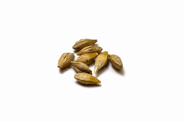 Barley malt on white background. Several grains of cereals isolated close up. Seeds of barley, wheat, oats, rye, triticale macro shooting. Natural dry grain in the center of the image